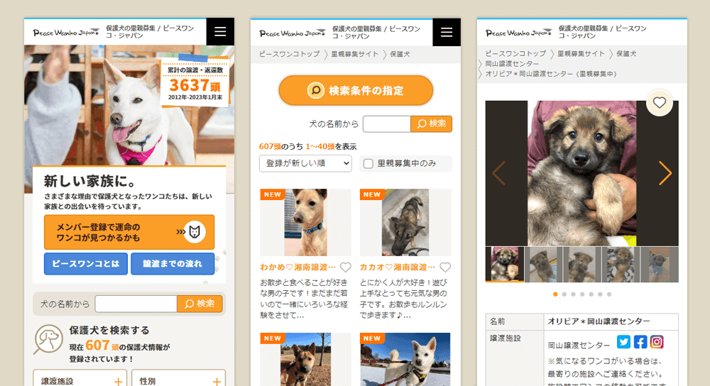 保護犬たちの里親募集サイト構築